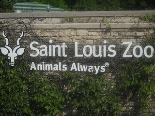 st louis zoo job openings|Employment .